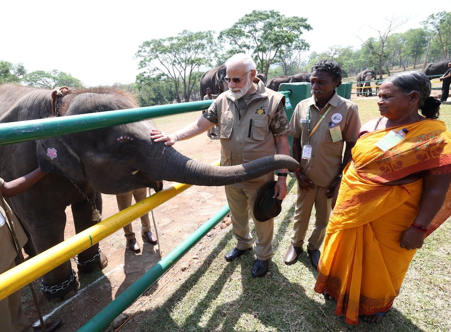  ಪ್ರಧಾನ ಮಂತ್ರಿ ನರೇಂದ್ರ ಮೋದಿ ಅವರು ಬಂಡೀಪುರ ಸಫಾರಿ ಮುಗಿಸಿಕೊಂಡು ತಮಿಳುನಾಡಿನ ಮಧುಮಲೈನಲ್ಲಿ ಹುಲಿ ಸಂರಕ್ಷಿತ ಪ್ರದೇಶದ ತೆಪ್ಪಕಾಡು ಆನೆ ಶಿಬಿರಕ್ಕೆ ಭೇಟಿ ನೀಡಿದರು.