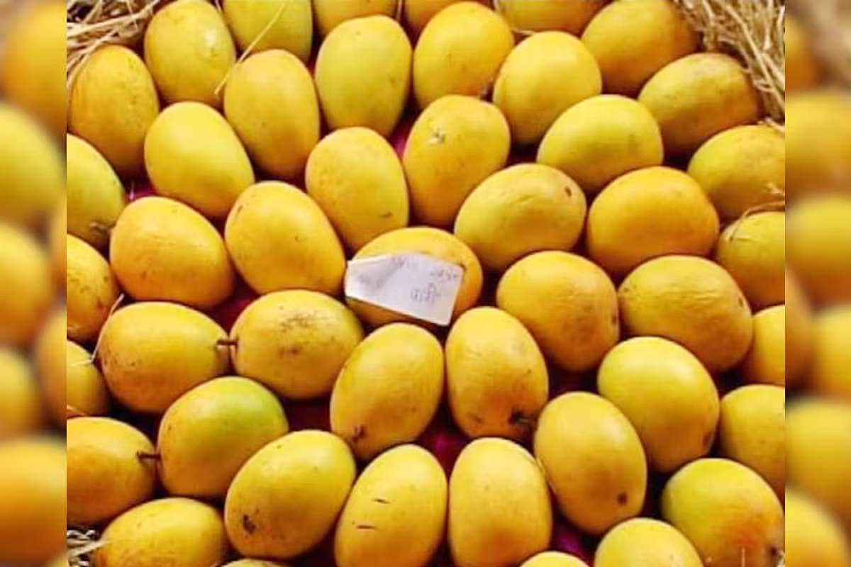 Summer Food ಬೇಸಿಗೆಯಲ್ಲಿ ಬಾಯಲ್ಲಿ ನೀರೂರಿಸುವ ಮಾವಿನ ಹಣ್ಣಿನ ರೆಸಿಪಿಗಳಿವು