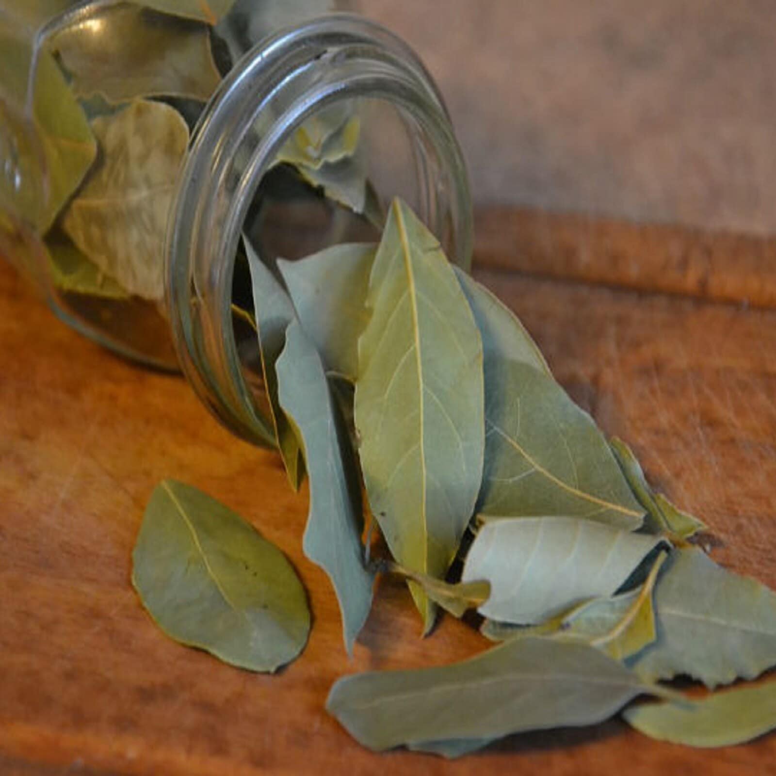 Benefits Of Bay Leaf ಈ ಒಂದು ಮಸಾಲೆ ಎಲೆ ಇದ್ರೆ ಸಾಕು ನಿಮ್ಮ ದುಡ್ಡಿನ
