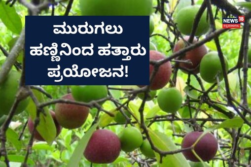 ಇಲ್ಲಿ ವಿಡಿಯೋ ನೋಡಿ