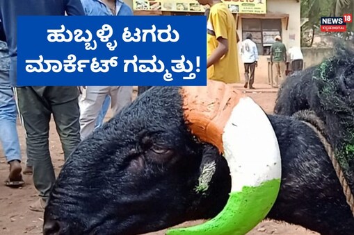 ಇಲ್ಲಿ ವಿಡಿಯೋ ನೋಡಿ