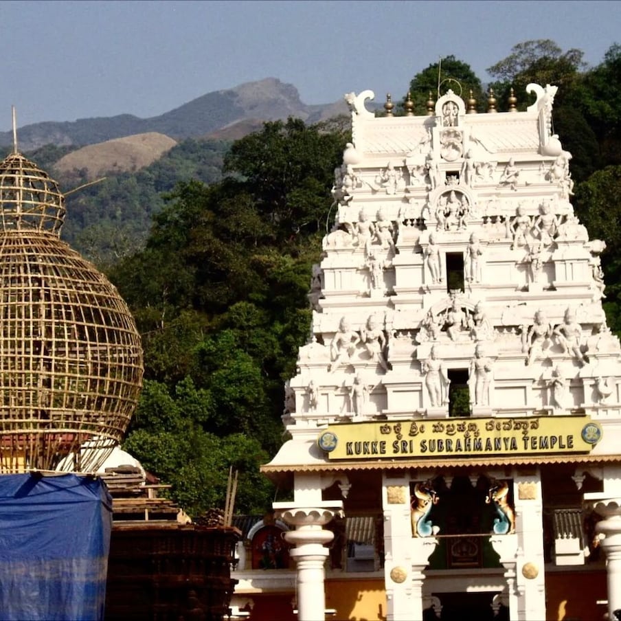 ಪುತ್ತೂರು: ದಕ್ಷಿಣ ಭಾರತದಲ್ಲೇ ಅತಿ ಪ್ರಸಿದ್ಧಿ ಪಡೆದ ದಕ್ಷಿಣ ಕನ್ನಡದ ದೇವಸ್ಥಾನದ ವಾರ್ಷಿಕ ಆದಾಯ 100 ಕೋಟಿ ದಾಟಿದೆ. ಹೌದು, ದಕ್ಷಿಣ ಭಾರತದ ಹೆಸರಾಂತ ನಾಗಕ್ಷೇತ್ರ ಕುಕ್ಕೆ ಸುಬ್ರಹ್ಮಣ್ಯ ಈ ಸಾಧನೆ ಮಾಡಿದೆ. (ಸಾಂದರ್ಭಿಕ ಚಿತ್ರ)