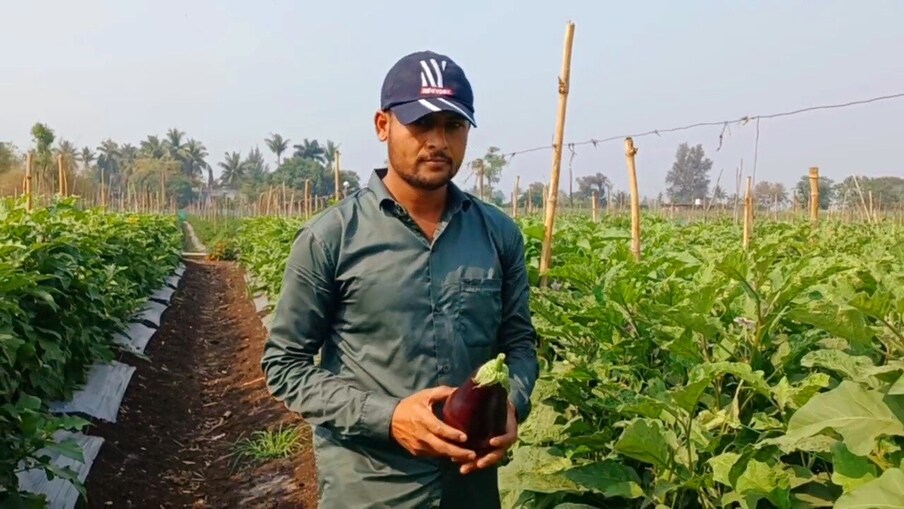  ನಮ್ಮ ತಾತ ಮುತ್ತಾತಂದಿರು ಹಲವು ದಶಕಗಳ ಕಾಲ ಅವರಿಗೆ ಗೊತ್ತಿರುವ ಕೃಷಿಯನ್ನು ಮಾಡುತ್ತಾ ಬಂದಿದ್ದರು. ಆದರೆ ನಾವು ಕೂಡ ಅದೇ ಕೃಷಿಯನ್ನು ಮುಂದುವರಿಸಿದರೆ ಹೇಗೆ? ಹೊಸದನ್ನು ಮಾಡಲು ಪ್ರಯತ್ನಿಸಬೇಕು. ನಾವು ಏನೆಂದು ಜಗತ್ತಿಗೆ ತೋರಿಸಬೇಕು. ಅದಕ್ಕಾಗಿ ಸ್ವಲ್ಪ ರಿಸ್ಕ್ ತೆಗೆದುಕೊಳ್ಳಬೇಕು ಎಂದು ಇಲ್ಲೊಬ್ಬ ಯುವ ರೈತ ಆಲೋಚಿಸಿ, ಯಶಸ್ಸು ಸಾಧಿಸಿದ್ದಾನೆ. ಮಹಾರಾಷ್ಟ್ರದ ಕೊಲ್ಲಾಪುರದಲ್ಲಿ ಸಾಮಾನ್ಯವಾಗಿ ರೈತರು ಬೆಳೆಯುತ್ತಿದ್ದ ಕಬ್ಬಿನ ಬೆಳೆಯನ್ನು ಕೈಬಿಟ್ಟು, ಬದಲಾಗಿ ಅವರ ಪ್ರಾಯೋಗಾತ್ಮಕ ಕೃಷಿ ಮಾಡಿ ಸೂಪರ್ ಸಕ್ಸಸ್ ಕಂಡಿದ್ದಾರೆ.
