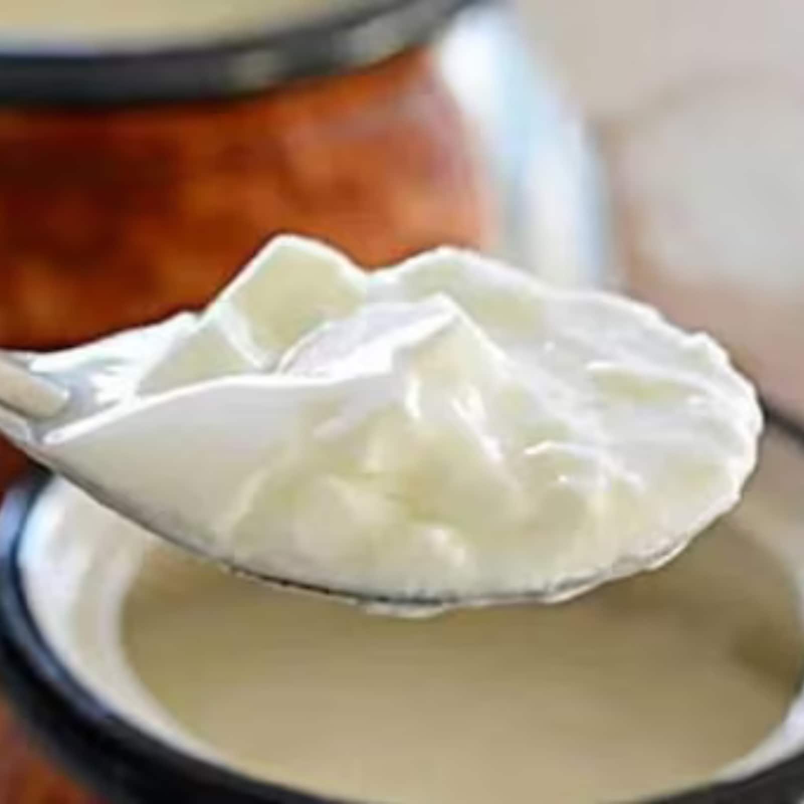 Curd vs Yogurt ಮೊಸರು ಮತ್ತು ಯೋಗರ್ಟ್ ನಡುವಿನ ವ್ಯತ್ಯಾಸವೇನು? ಇವೆರಡರಲ್ಲಿ