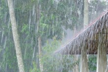 Weather Report: ಬೆಂಗಳೂರಿನಲ್ಲಿ ಗುಡುಗು ಸಹಿತ ಭಾರೀ ಮಳೆ ಸಾಧ್ಯತೆ