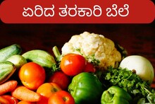 Vegetable Price: ಬೆಂಗಳೂರಿನಲ್ಲಿ ಹೆಚ್ಚಾಯ್ತು ತರಕಾರಿ ಬೆಲೆ, ಇದು ಮಳೆಯ ಎಫೆಕ್ಟ್​