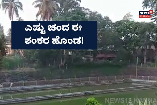 ಇಲ್ಲಿ ವಿಡಿಯೋ ನೋಡಿ