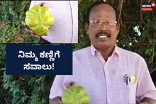 Udupi Viral News: ನಿಮ್ಮ ಕಣ್ಣಿಗೆ ಸವಾಲು! 10 ಸೆಕೆಂಡ್​ನಲ್ಲಿ ಇದು ಸೀಮೆ ಬದನೆಯೋ, ಮಾವಿನ ಹಣ್ಣೋ ಹೇಳಿ