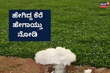 Dharwad News: ಈ ಕೆರೆ ಸೇರುತ್ತಿದೆ ಇಡೀ ನಗರದ ಅರ್ಧ ಚರಂಡಿ ನೀರು