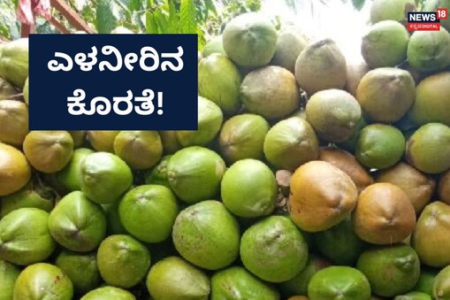 ಎಳನೀರು (ಸಾಂದರ್ಭಿಕ ಚಿತ್ರ)