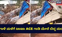 ಭಾನುವಾರ ಸುರಿದ ಮಳೆಗೆ ಟಾಟಾ ACE ಗಾಡಿ ಮೇಲೆ ಬಿದ್ದ ಮರ!