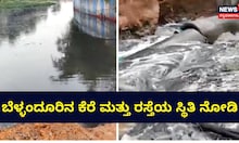 ಬೆಳ್ಳಂದೂರಿನ ಕೆರೆ ಮತ್ತು ರಸ್ತೆಯ ಸ್ಥಿತಿ ಹೇಗಿದೆ ನೋಡಿ