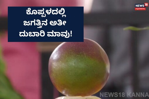 ಇಲ್ಲಿ ವಿಡಿಯೋ ನೋಡಿ