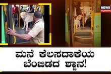 ಮನೆ ಕೆಲಸದಾಕೆಯ ಜೊತೆ ಬಸ್ ಏರಿ ಕುಳಿತ ಶ್ವಾನ!