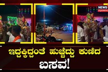 ಇದ್ದಕ್ಕಿದ್ದಂತೆ ಹುಚ್ಚೆದ್ದು ಕುಣಿದ ಬಸವಣ್ಣ!