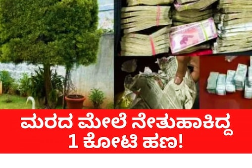 ಮರದ ಮೇಲೆ ನೇತುಹಾಕಿದ್ದ 1 ಕೋಟಿ ಹಣ!