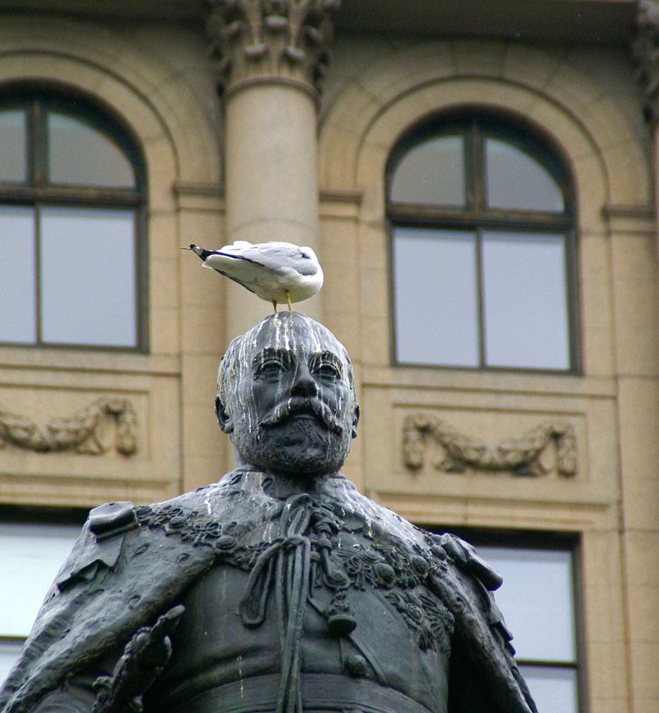 Clean Pigeon Poop ಪಾರಿವಾಳಗಳಿಂದ ಬಾಲ್ಕನಿಯಲ್ಲಾಗಿರುವ ಕೊಳಕನ್ನು ಕ್ಲೀನ್ ಮಾಡಲು