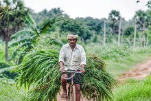 Vijayapura Farmers: ಮುಂಗಾರು ಹಂಗಾಮಿನಲ್ಲಿ ಬಿತ್ತನೆ ಬೀಜ, ರಸಗೊಬ್ಬರ ವಿತರಣೆ ಆರಂಭ