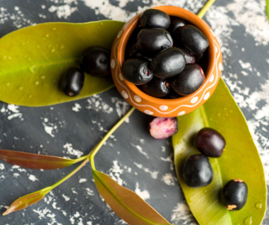 Jamun Fruit ಬಲ್ಲವನೇ ಬಲ್ಲ ನೇರಳೆ ಹಣ್ಣಿನ ಗುಣವ! ತಿಂದು ನೋಡಿ, ರೋಗ ಹೋಗುತ್ತೆ