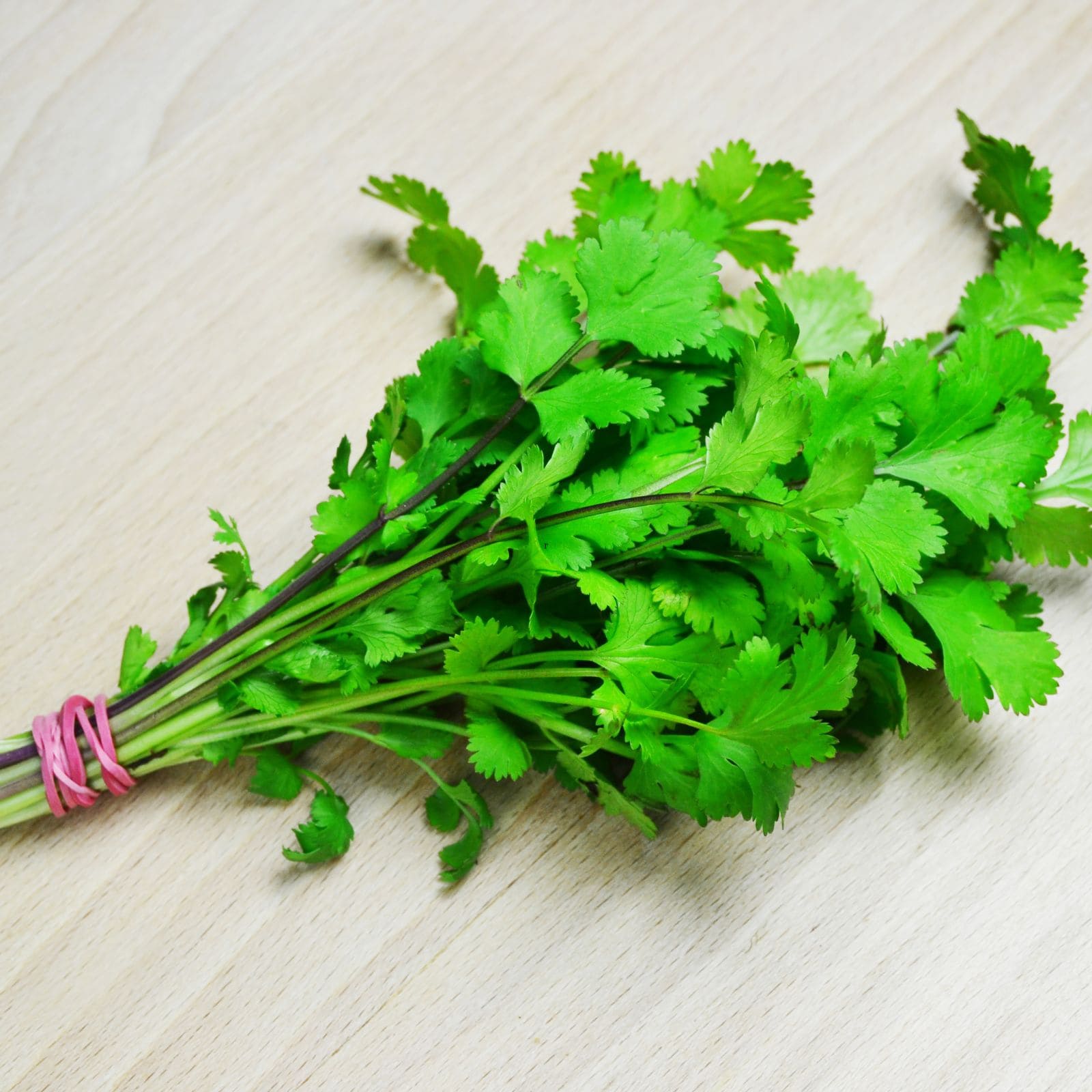 Coriander ಕೊತ್ತಂಬರಿ ತಿಂದ್ರೂ ಬರುತ್ತೆ ಕಾಯಿಲೆಗಳು; ತಿನ್ನೋ ಮುನ್ನ ನೂರು ಸಲ