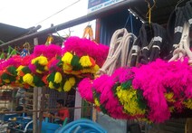 Vijayapura: ಕಾರ ಹುಣ್ಣಿಮೆಯಲ್ಲಿ ಎತ್ತುಗಳೇ ಹೀರೋ, ಇಲ್ಲಿದೆ ನೋಡಿ ಹಬ್ಬದ ಝಲಕ್