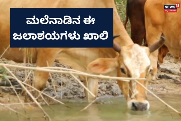 ಮುಂಗಾರು ಪೂರ್ವ ಮಳೆಯ ಕೊರತೆ, ಮಲೆನಾಡ ಮಡಿಲಲ್ಲಿ ಕುಡಿಯಲು ನೀರಿಲ್ಲ
