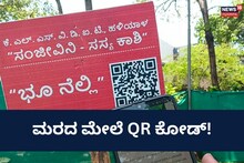 Uttara Kannada News: ಮರದ ಮುಂದೆ ನಿಂತು ಸ್ಕ್ಯಾನ್‌ ಮಾಡಿದ್ರೆ ಸಿಗುತ್ತೆ ಆ ಗಿಡದ ಕಂಪ್ಲೀಟ್‌ ಡಿಟೇಲ್ಸ್!