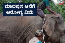 Chamarajanagar News: ಮಾದಪ್ಪನ ಆನೆಗೆ 5 ಲಕ್ಷದ ಆರೋಗ್ಯ ವಿಮೆ,  ವರ್ಷಕ್ಕೆ 11 ಸಾವಿರ ಪ್ರೀಮಿಯಂ