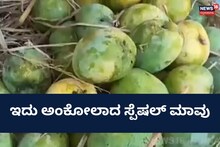 Karwar News: ರೈತರಿಂದ ನೇರವಾಗಿ ಗ್ರಾಹಕರಿಗೆ ಸಿಕ್ತು ಬಗೆಬಗೆಯ ಮಾವು!