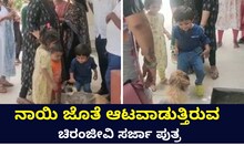 ನಾಯಿ ಜೊತೆ ಆಟವಾಡುತ್ತಿರುವ ಚಿರು ಪುತ್ರ ರಾಯನ್