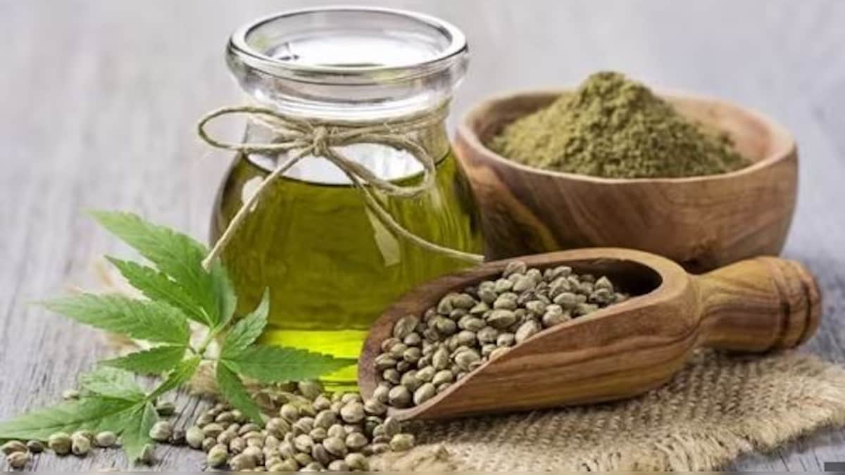 ಸೆಣಬಿನ ಬೀಜಗಳನ್ನು ತಿಂದ್ರೆ ಸಾಕು, ಮಹಿಳೆಯರ ಮುಕ್ತ ರೋಗಗಳೆಲ್ಲಾ ಮಾಯವಾಗುತ್ತೆ