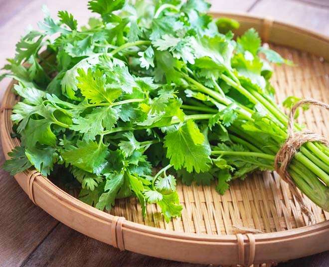 Coriander Juice ತೆಳ್ಳಗೆ, ಅಂದವಾಗಿ ಕಾಣಬೇಕೇ? 1 ಗ್ಲಾಸ್ ಕೊತ್ತಂಬರಿ ಸೊಪ್ಪಿನ ರಸವನ್ನು ಈ ವಿಧಾನದಲ್ಲಿ