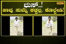 Snake Rescue: ಹೀಗೆ ಮಾಡಿದ್ರೆ ಮಾತ್ರ ಕಚ್ಚುತ್ತೆ ಹಾವು! ಸಖತ್ತಾಗಿದೆ ಈ ವಿಡಿಯೋ