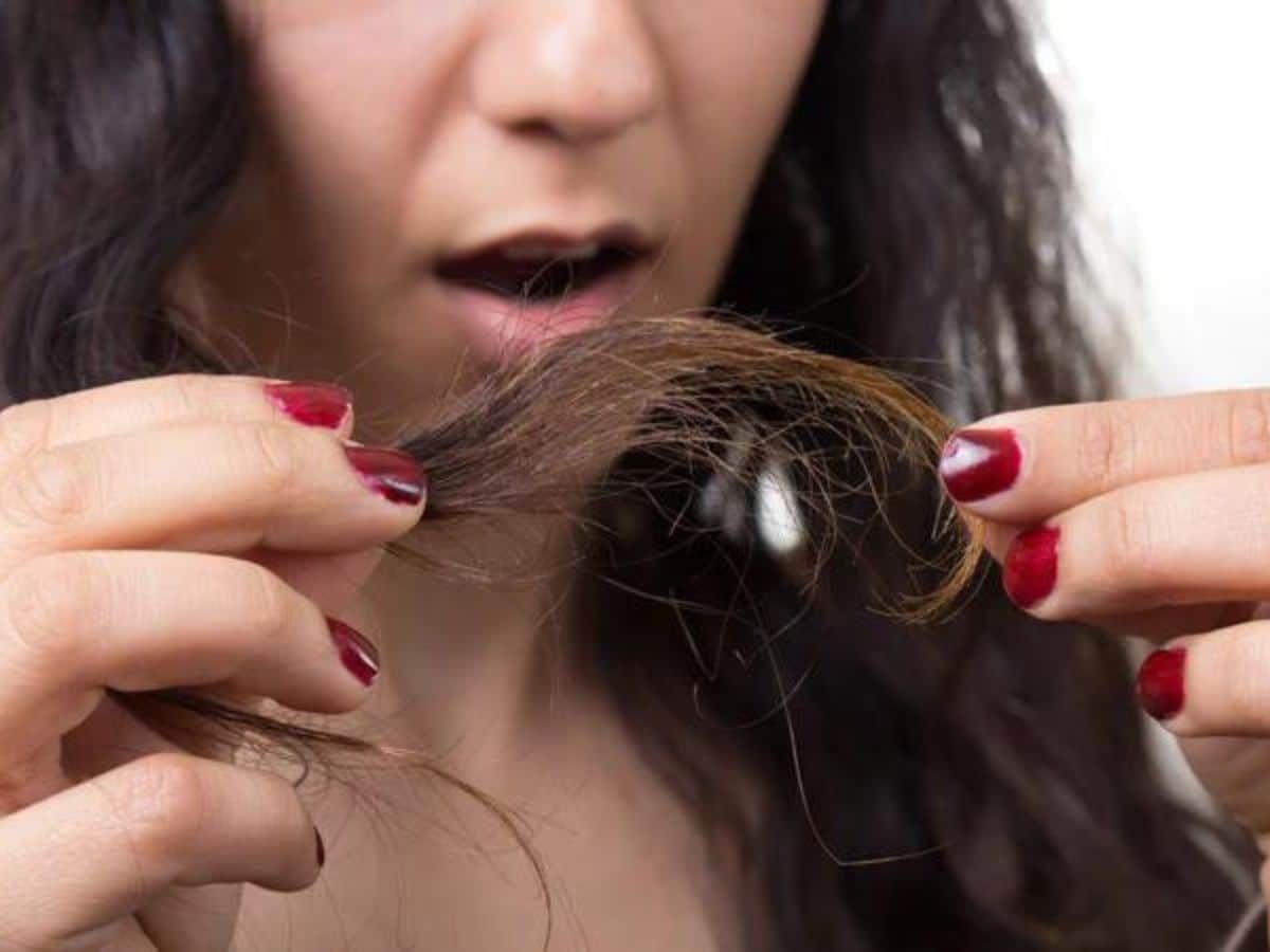Snapping Split Hairs ಸ್ಪ್ಲಿಟ್ ಹೇರ್ಸ್ ಆಗಿದ್ಯಾ? ಹಾಗಾದ್ರೆ ಈ ಟಿಪ್ಸ್ ಫಾಲೋ ಮಾಡಿ! | how you can ...