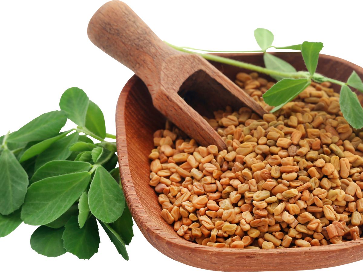 ಕಹಿಯಾಗಿದ್ದರೂ ಮೆಂತ್ಯ ಸೊಪ್ಪಿನಲ್ಲಿ ಅಡಗಿದೆ ಈ ಅದ್ಭುತ ಆರೋಗ್ಯ ಪ್ರಯೋಜನಗಳು! 5