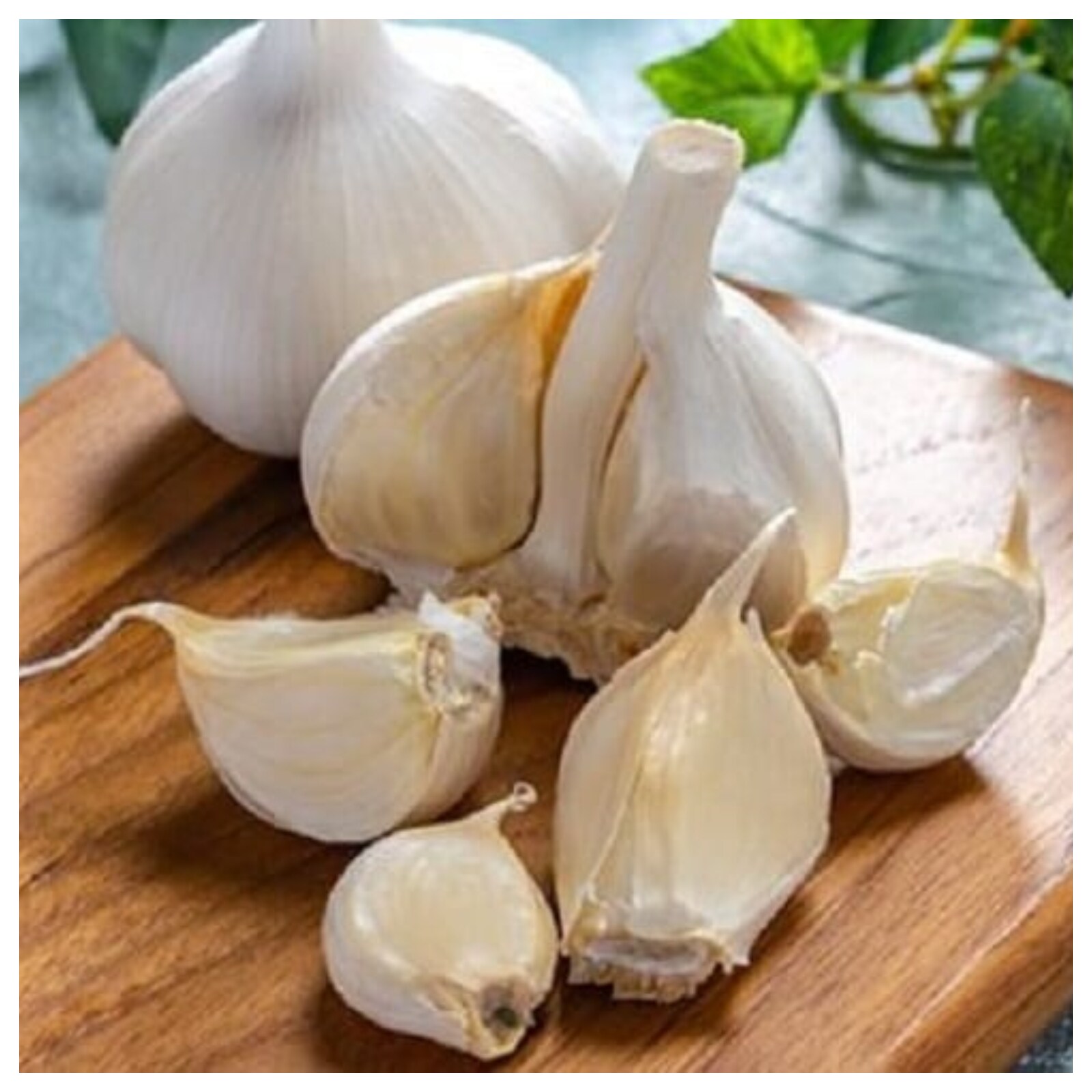 Fried Garlic Benefits ಪುರುಷರೇ ಈ ಸಮಯದಲ್ಲಿ ಹುರಿದ ಬೆಳ್ಳುಳ್ಳಿ ತಿನ್ನಿ; ನಂತರ