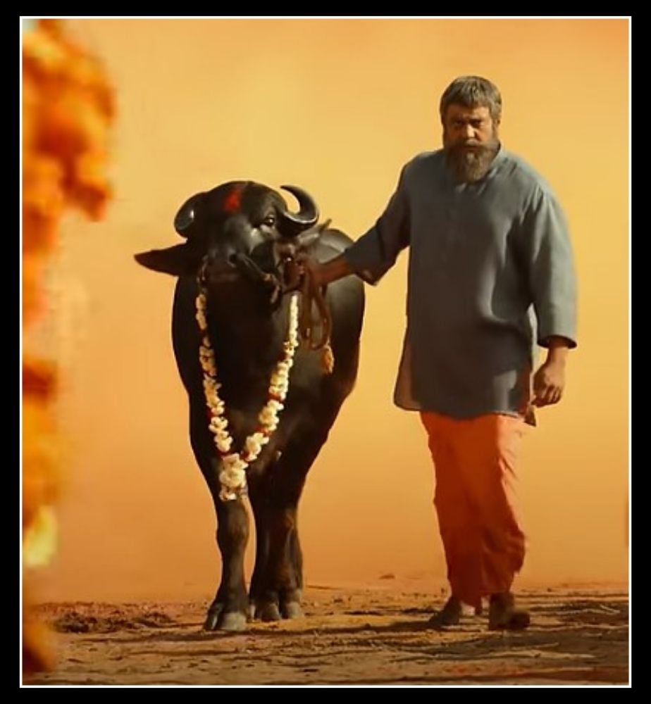 ಕಾಟೇರ ಚಿತ್ರದಲ್ಲಿ ಕೋಣದ ಜೊತೆಗೆ ದಾಸನ ಫೈಟ್; ಇಲ್ಲಿದೆ ದರ್ಶನ್ ಸಿನಿಮಾ