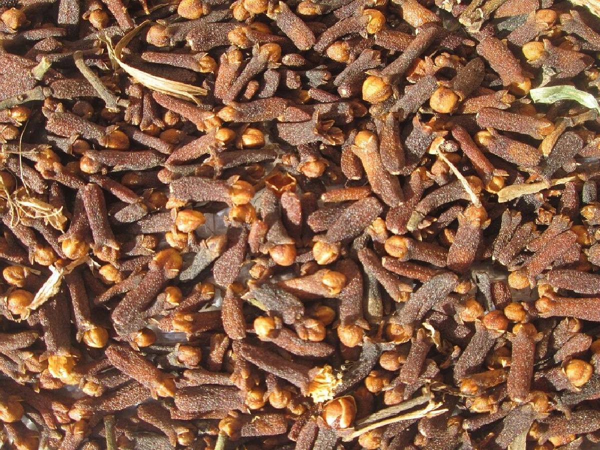 Belly Fat Burning Tips ಒಂದೇ ಒಂದು ಲವಂಗ ಹೀಗೆ ತಿನ್ನಿ; ವಾರದೊಳಗೆ ಸಣ್ಣ