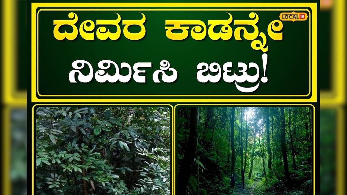 Positive Story: ಜೂನ್‌ ಬಂತೆಂದರೆ ಗಿಡ ನೆಡುವ ಇವರ ಕಾಯಕ ಶುರು; 18 ವರ್ಷದಲ್ಲಿ ...