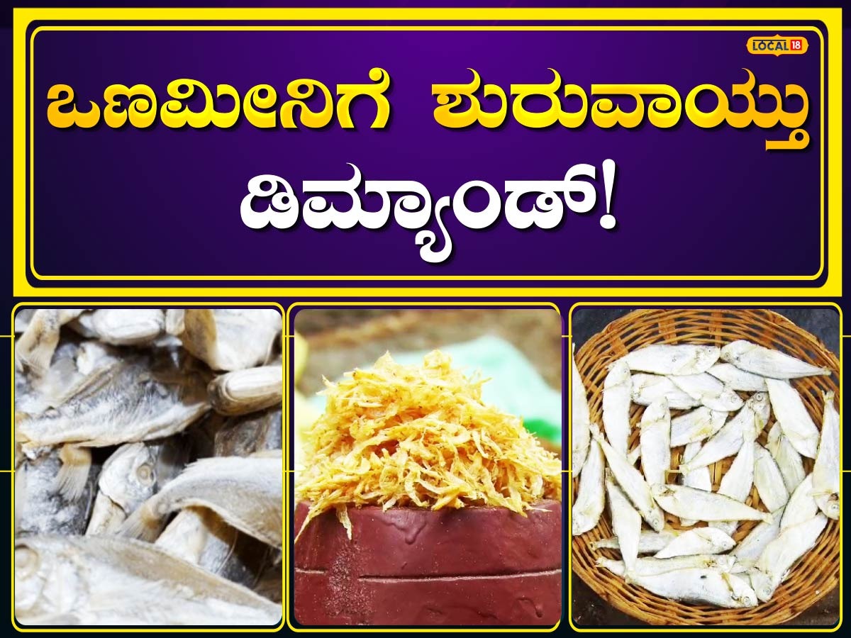 Dry Fish: ಹಸಿಮೀನು ಕಡಿಮೆಯಾಗುತ್ತಲೇ ಕಾರವಾರದಲ್ಲಿ ಘಮಘಮಿಸುತ್ತಿದೆ ಒಣಮೀನು ...