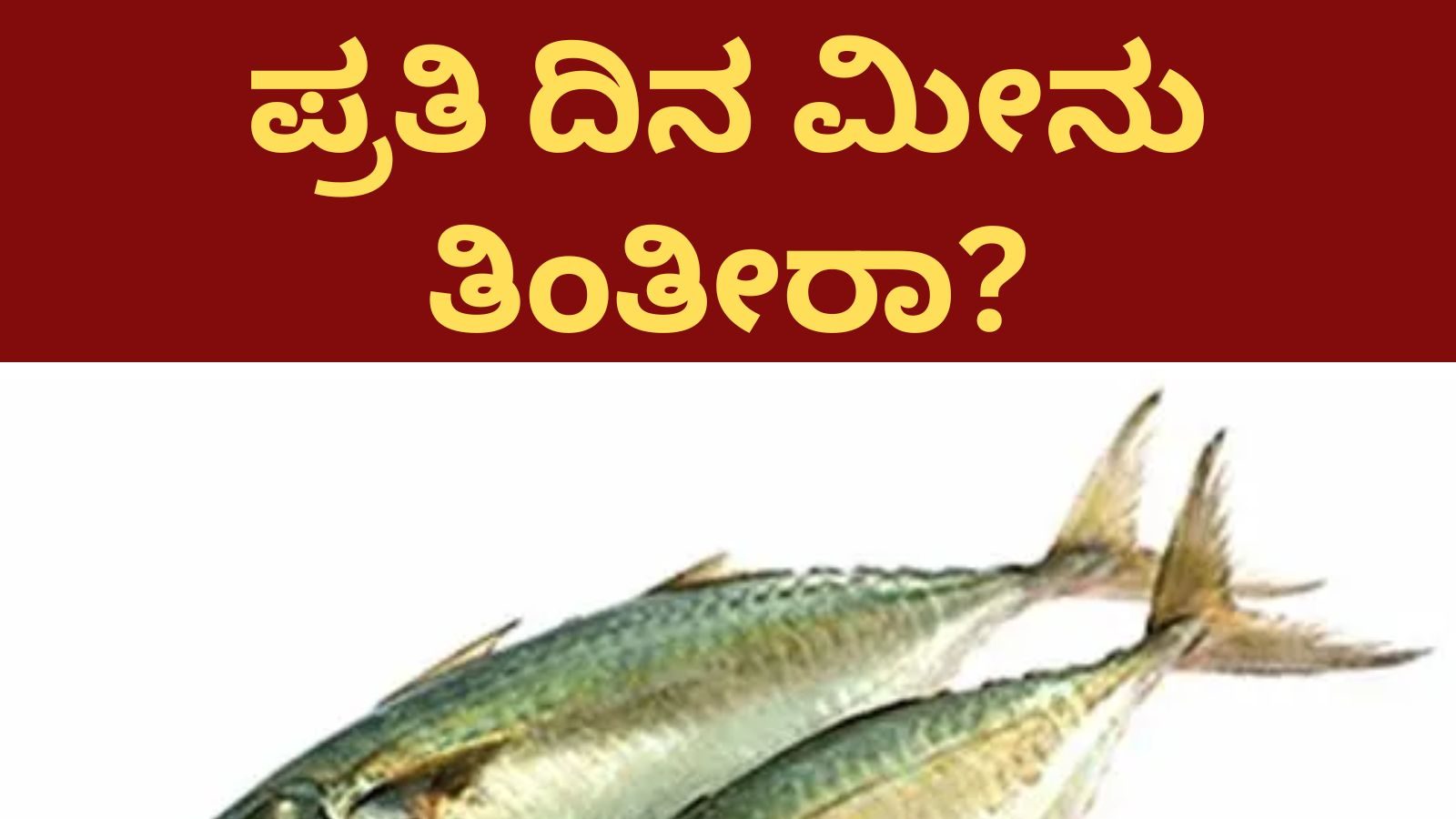 Fish: ನೀವು ಪ್ರತಿ ದಿನ ಮೀನು ತಿನ್ನುತ್ತೀರಾ? ಹಾಗಾದ್ರೆ, ಇವತ್ತು ಊಟ ಮಾಡೋ ಮೊದಲು ...