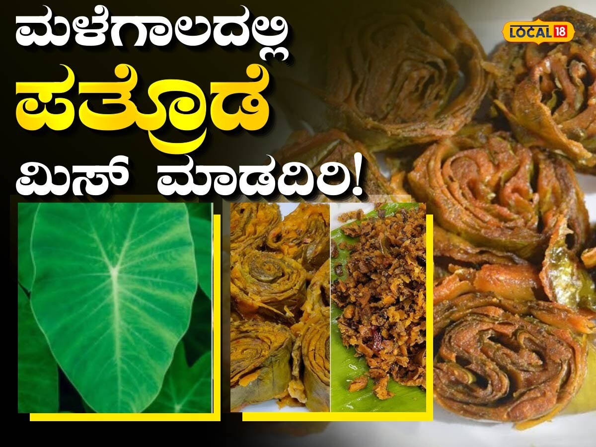 Patrode Recipe: ಕರಾವಳಿ, ಮಲೆನಾಡು ಭಾಗದ ಮಾನ್ಸೂನ್ ಸ್ಪೆಷಲ್‌ ಈ ಪತ್ರೊಡೆ ...