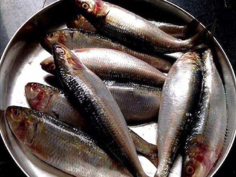 Fish: ಮೀನು ಪ್ರಿಯರಿಗೆ ಮತ್ತೊಂದು ಶಾಕ್! ನೀವು ಈ ಫಿಶ್‌ ತಿನ್ನೋ ಮೊದಲು ಯೋಚಿಸೋದು ...