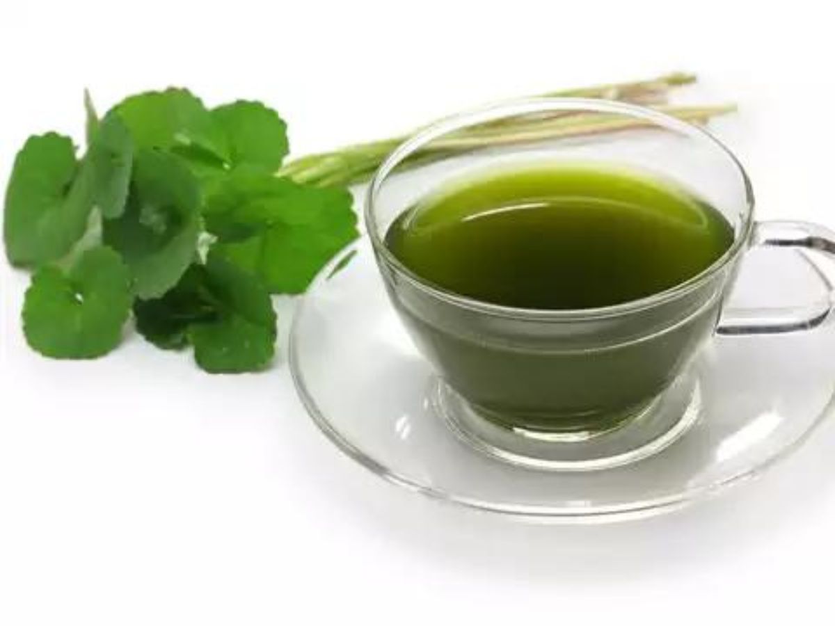 Premvati Tea ಎಳೆ ಮಕ್ಕಳಿಂದ ಹಿಡಿದು ವೃದ್ಧರವರೆಗೂ ಈ ಎಲೆಯನ್ನು ಟೀ ಜೊತೆ ತಿನ್ನಲೇಬೇಕು? ಏಕೆ ...