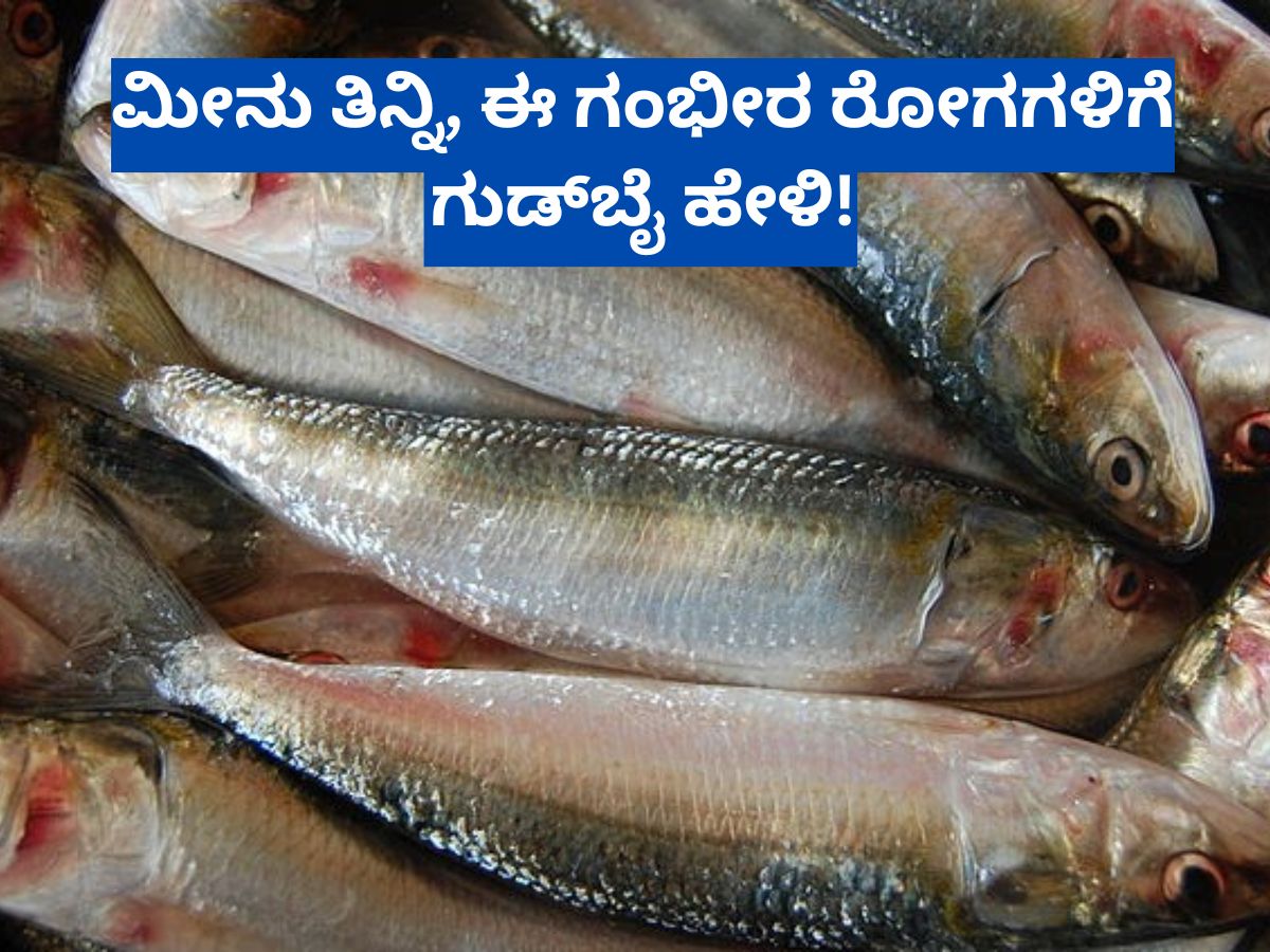 ಮೀನು ತಿನ್ನೋದರಿಂದ ಮೆದುಳು ಚುರುಕಾಗೋದು ಮಾತ್ರವಲ್ಲ ಈ 5 ಕಾಯಿಲೆಗಳು ನಿಮ್ಮ ಹತ್ತಿರ ...