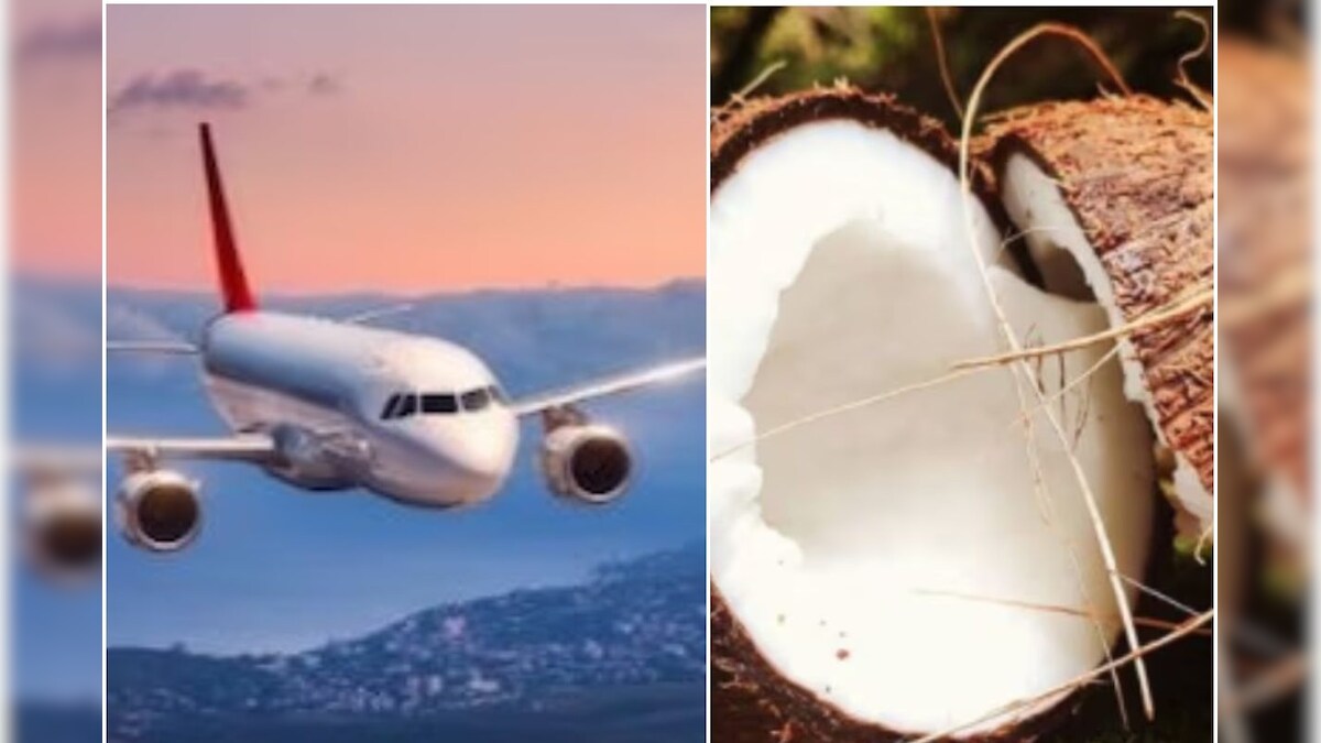 Interesting Facts ವಿಮಾನದಲ್ಲಿ ತೆಂಗಿನಕಾಯಿ ಸಾಗಿಸಲು ಅನುಮತಿ ಏಕಿಲ್ಲ? ನಿಷೇಧಿತ