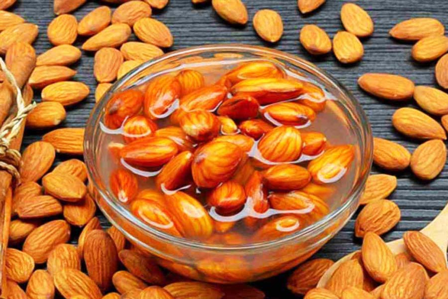 Almond ದುಬಾರಿ ಬಾದಾಮಿ ಫ್ರೀ ಆಗಿ ಸಿಗಬೇಕೇ? ಸುಲಭವಾಗಿ ಮನೆಯಲ್ಲಿಯೇ ಈ ರೀತಿ