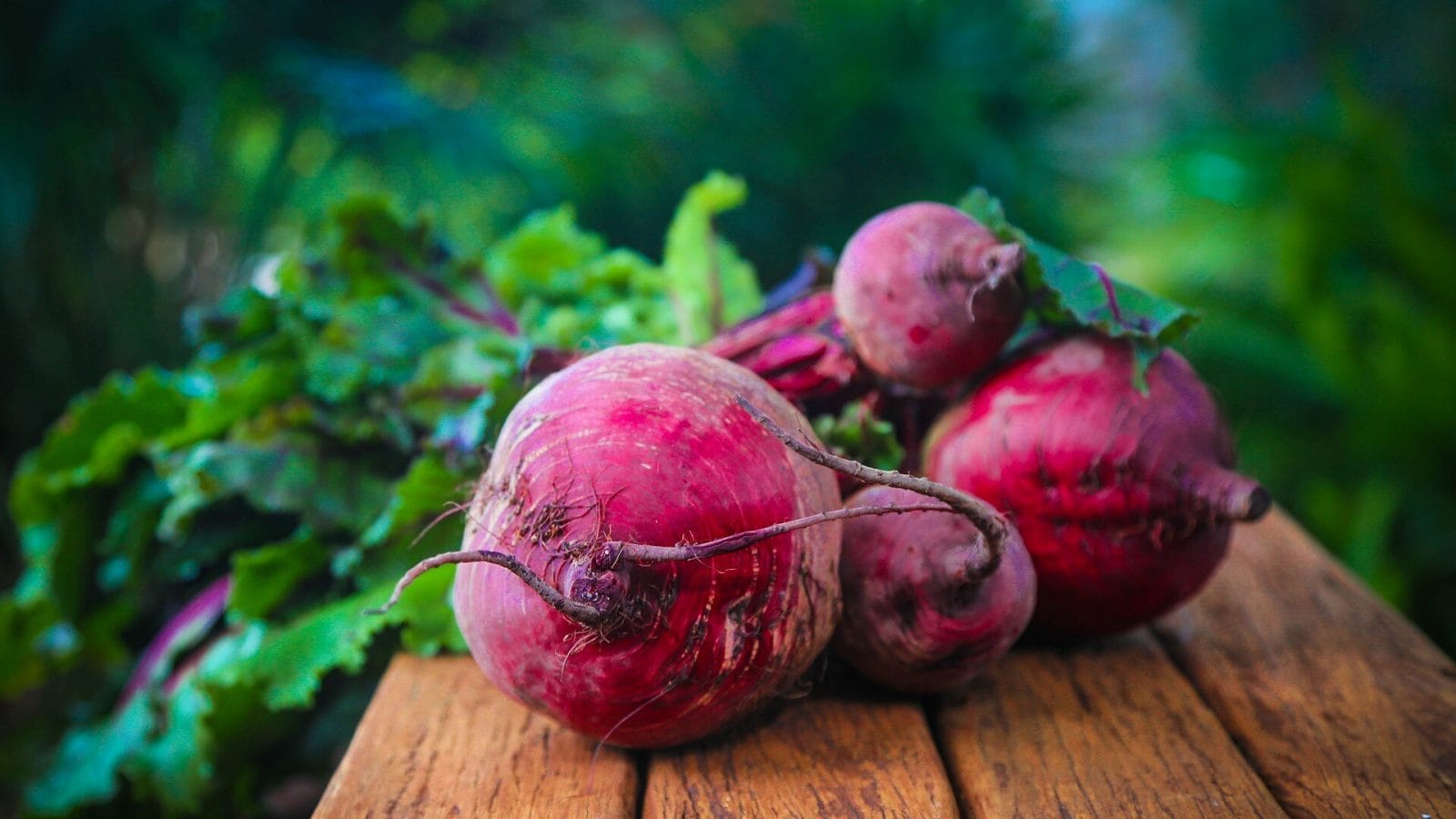 Beetroot Health Problem: ಈ ಆರೋಗ್ಯ ಸಮಸ್ಯೆಗಳಿರುವವರು ಅಪ್ಪಿತಪ್ಪಿಯೂ ಬೀಟ್ರೂಟ್ ...