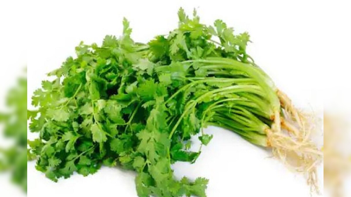 Coriander Juice ತೆಳ್ಳಗೆ, ಅಂದವಾಗಿ ಕಾಣಬೇಕೇ? 1 ಗ್ಲಾಸ್ ಕೊತ್ತಂಬರಿ ಸೊಪ್ಪಿನ ರಸವನ್ನು ಈ ವಿಧಾನದಲ್ಲಿ