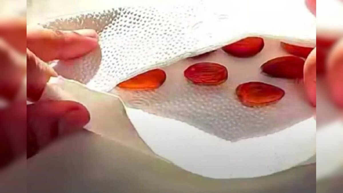 Almond ದುಬಾರಿ ಬಾದಾಮಿ ಫ್ರೀ ಆಗಿ ಸಿಗಬೇಕೇ? ಸುಲಭವಾಗಿ ಮನೆಯಲ್ಲಿಯೇ ಈ ರೀತಿ